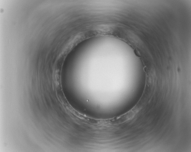 X0000055521346200508262155