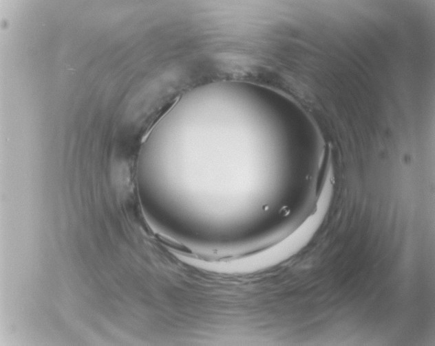 X0000055521347200508262155