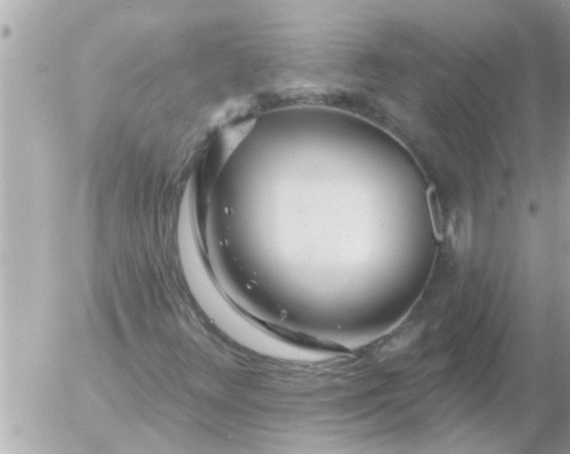 X0000055521348200508262155