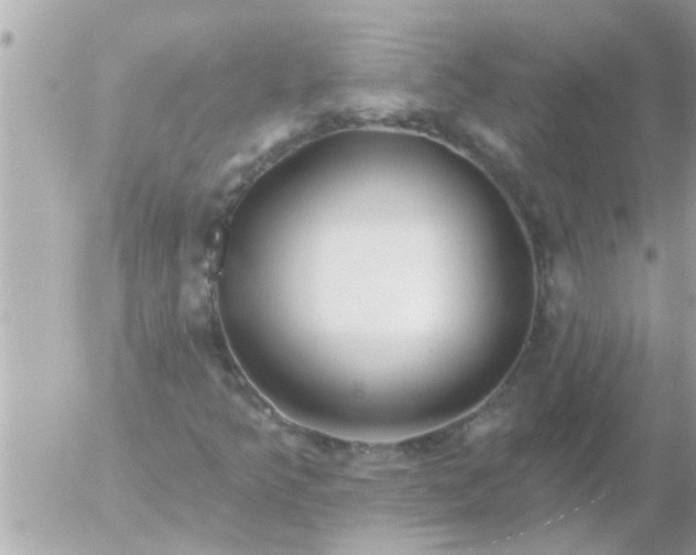 X0000055521349200508262155