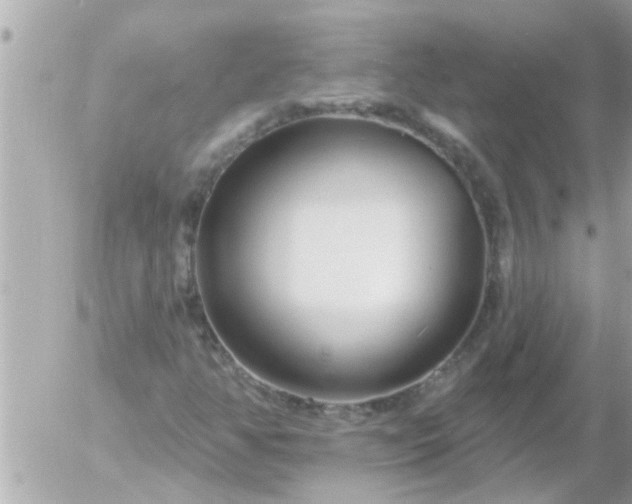 X0000055521350200508262155