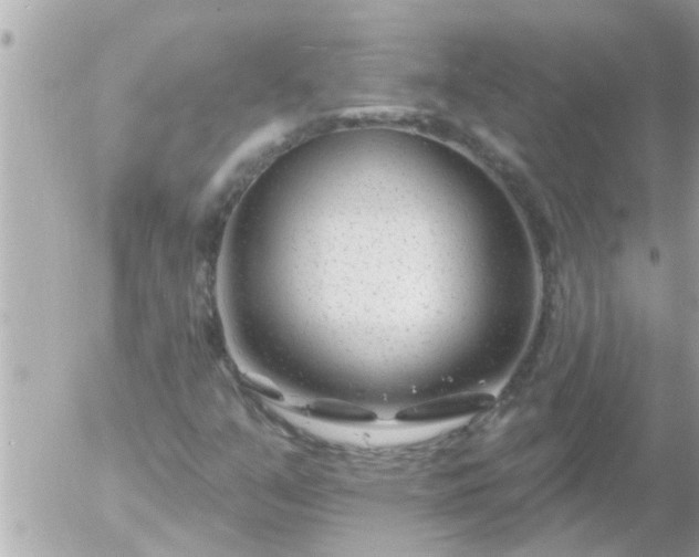 X0000055521351200508262155