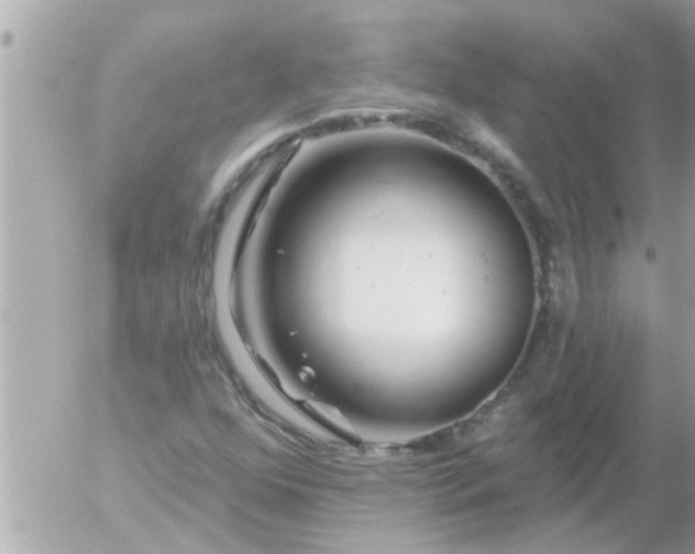 X0000055521352200508262155