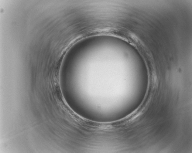 X0000055521353200508262155