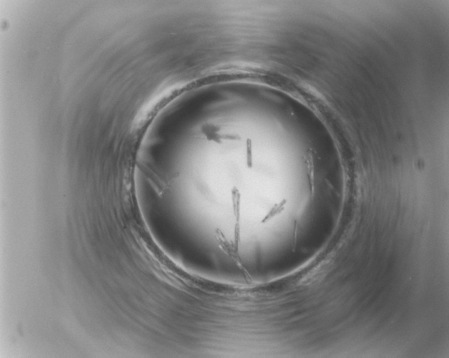 X0000055521355200508262155