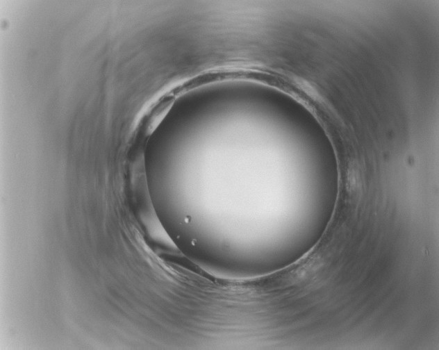 X0000055521356200508262155