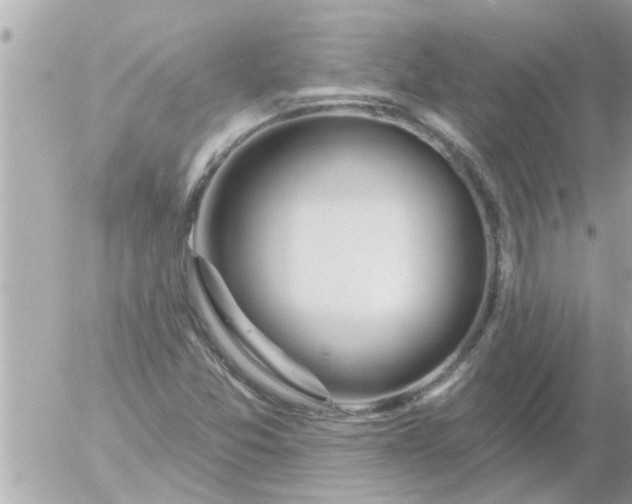 X0000055521357200508262155