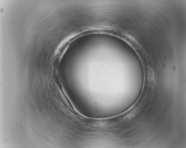 X0000055521358200508262155