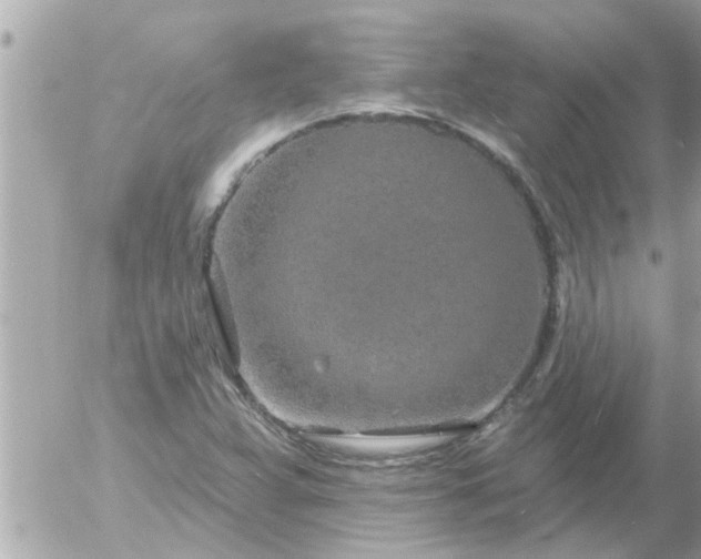 X0000055521359200508262155