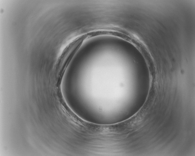 X0000055521360200508262155