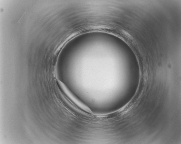 X0000055521361200508262155