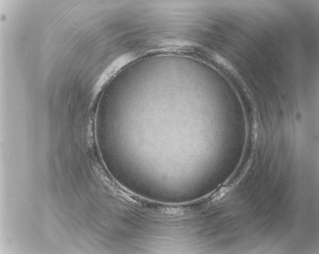 X0000055521362200508262155