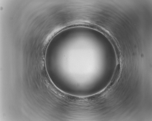 X0000055521363200508262155