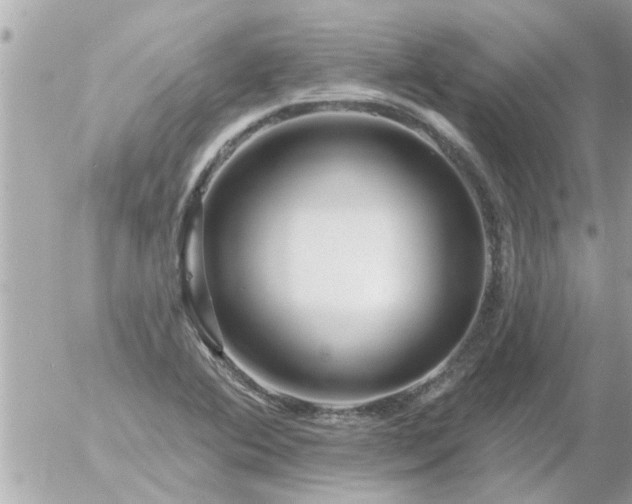 X0000055521364200508262155