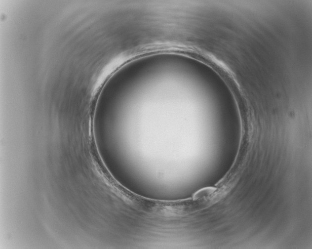 X0000055521365200508262155