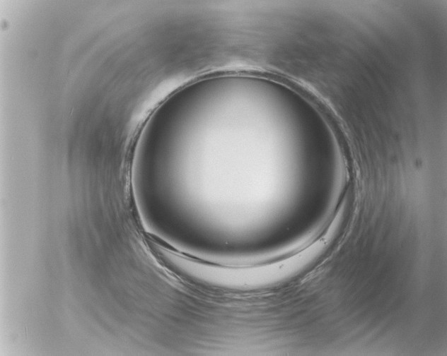 X0000055521367200508262155