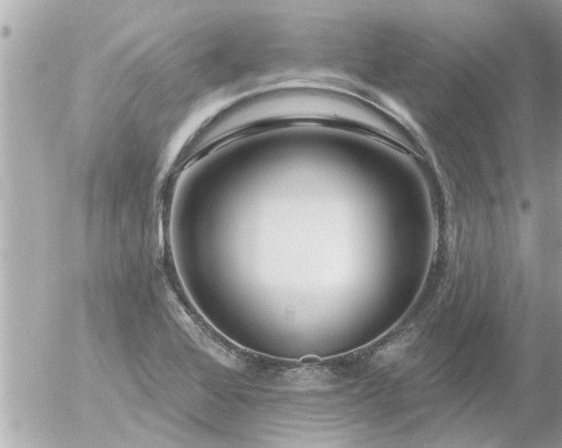 X0000055521368200508262155