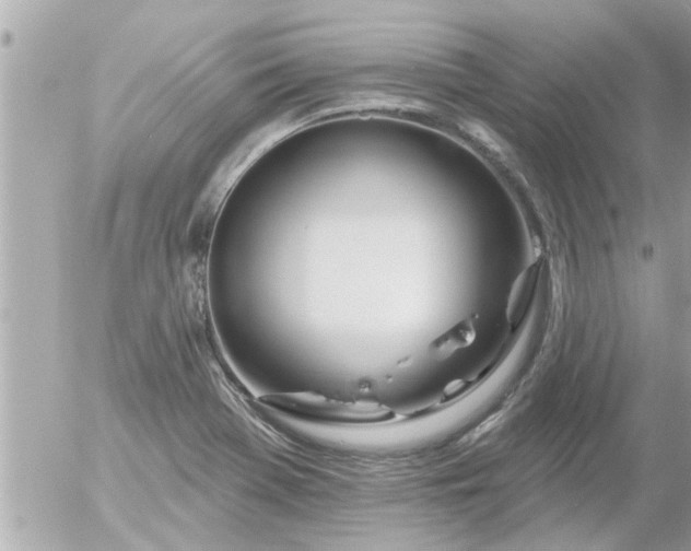 X0000055521369200508262155