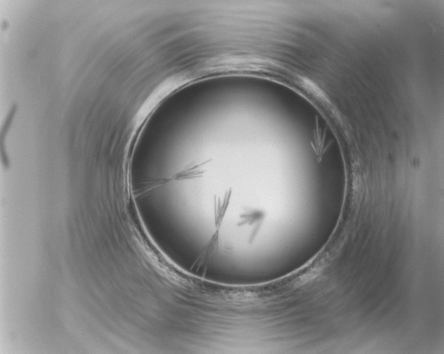 X0000055521370200508262155