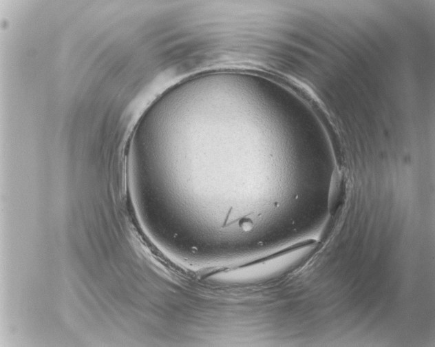 X0000055521371200508262155