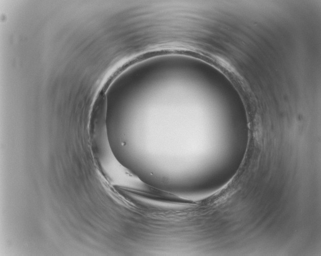 X0000055521372200508262155