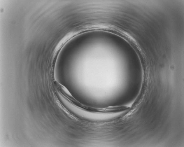 X0000055521373200508262155