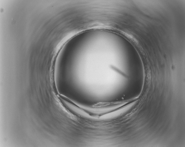 X0000055521375200508262155