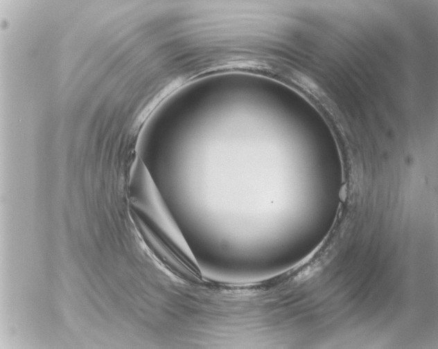 X0000055521377200508262155