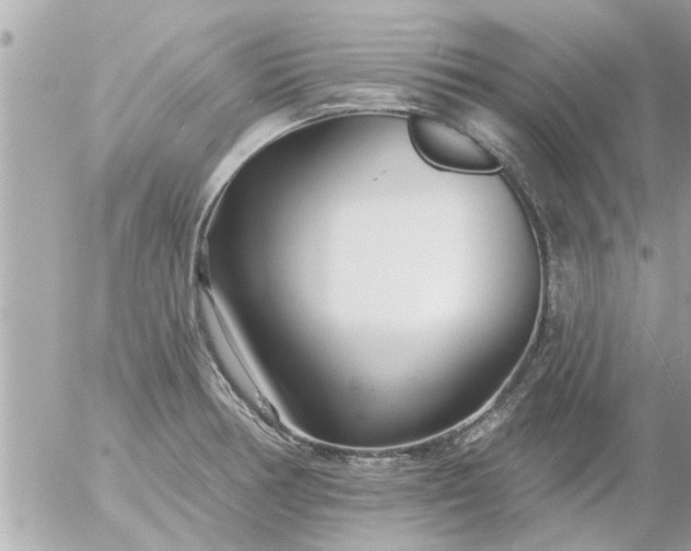 X0000055521378200508262155