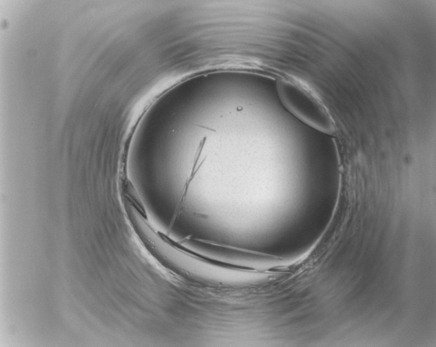 X0000055521379200508262155