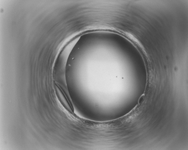 X0000055521380200508262155