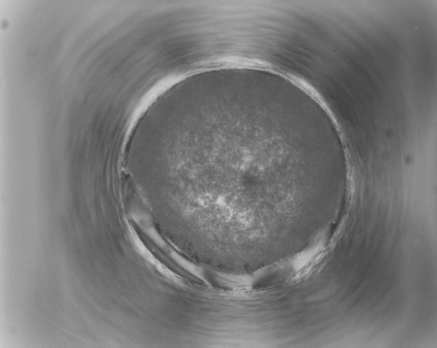 X0000055521381200508262154