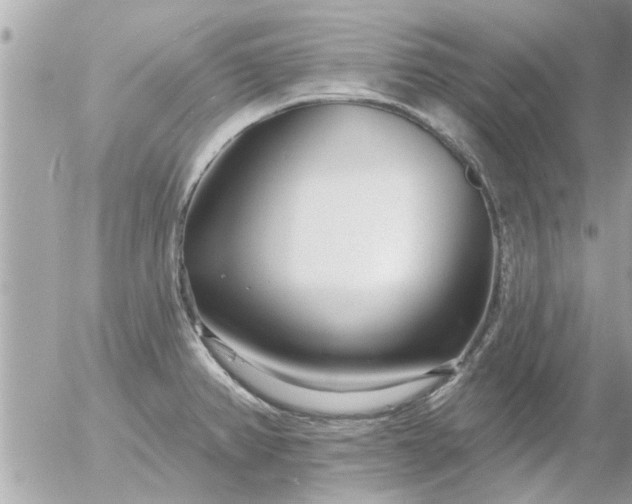 X0000055521382200508262154