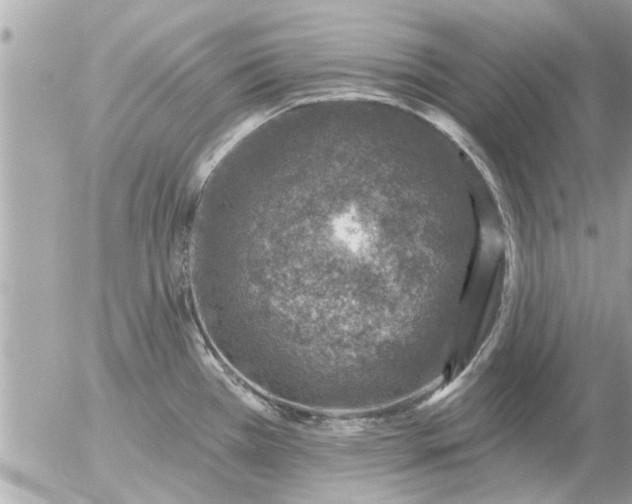 X0000055521385200508262154