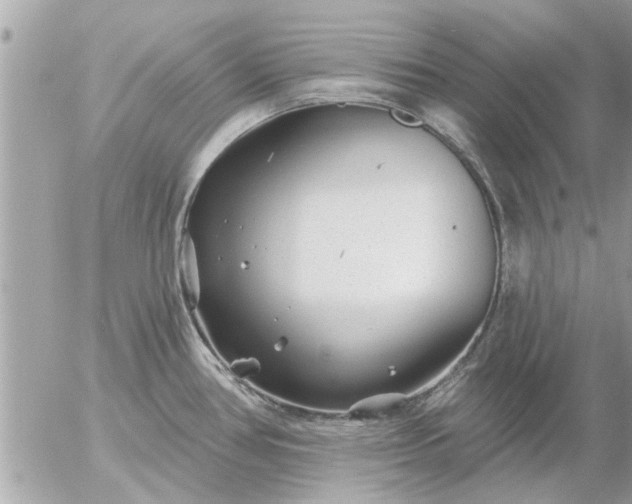 X0000055521386200508262154