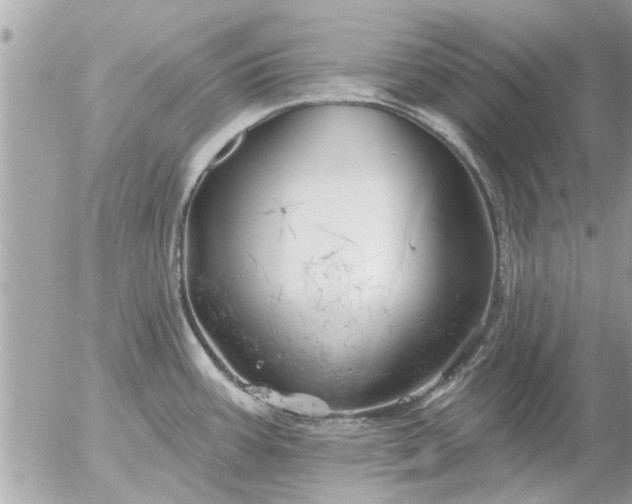 X0000055521387200508262154