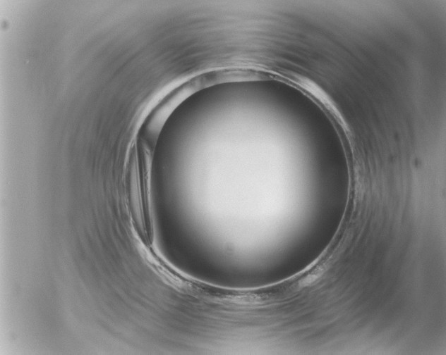 X0000055521388200508262154