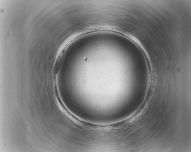 X0000055521389200508262154