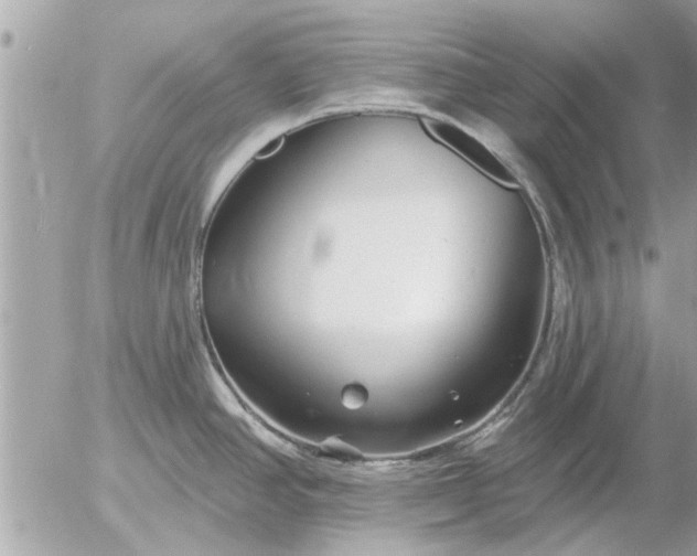 X0000055521390200508262154