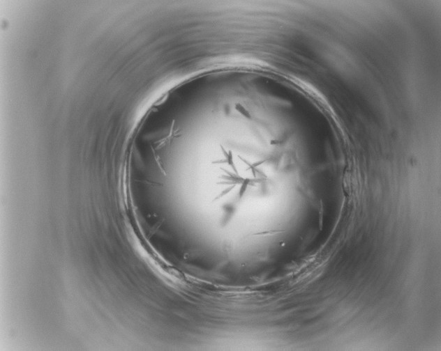 X0000055521391200508262154