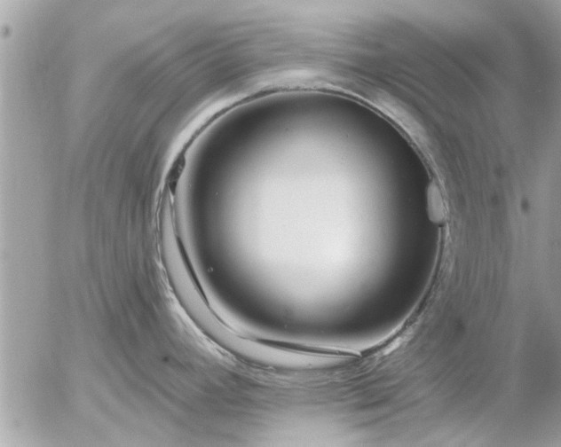 X0000055521392200508262154