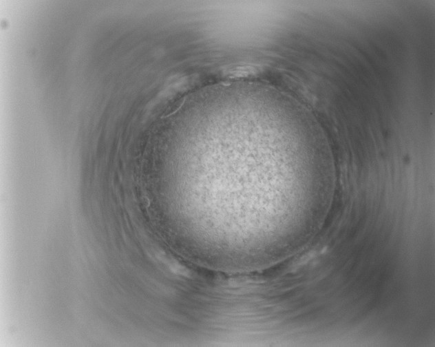 X0000055521393200508262154