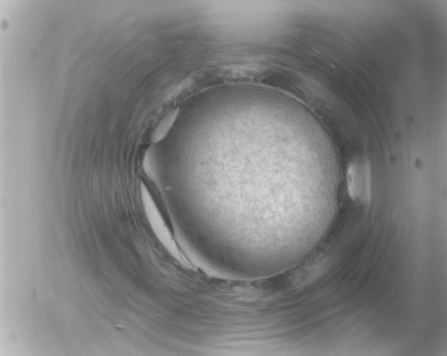 X0000055521395200508262154