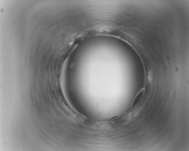 X0000055521396200508262154