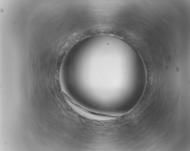 X0000055521397200508262154