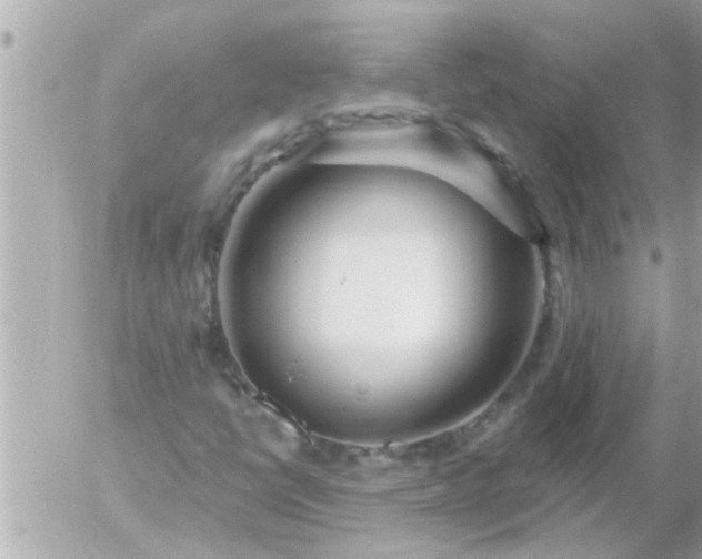 X0000055521398200508262154