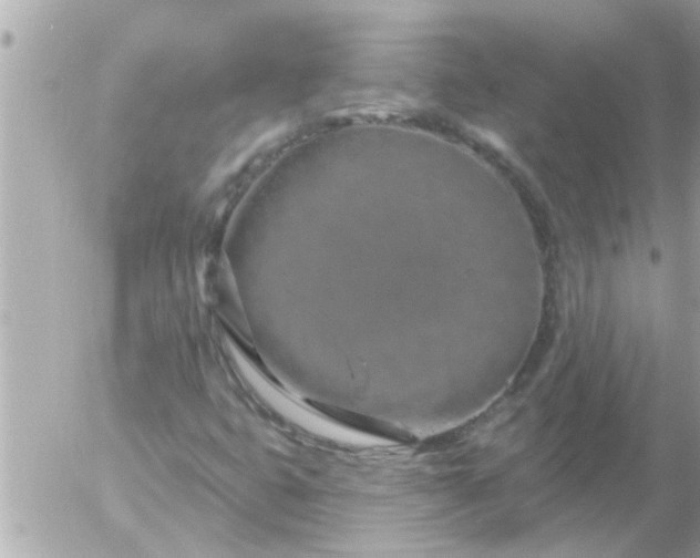 X0000055521399200508262154