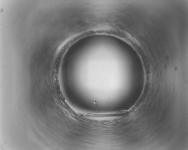 X0000055521400200508262154