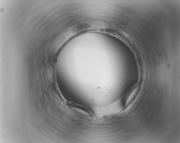 X0000055521401200508262154