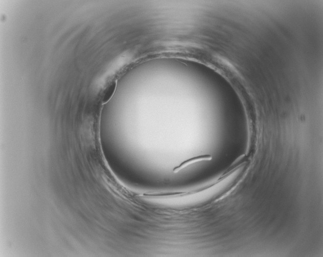 X0000055521403200508262154